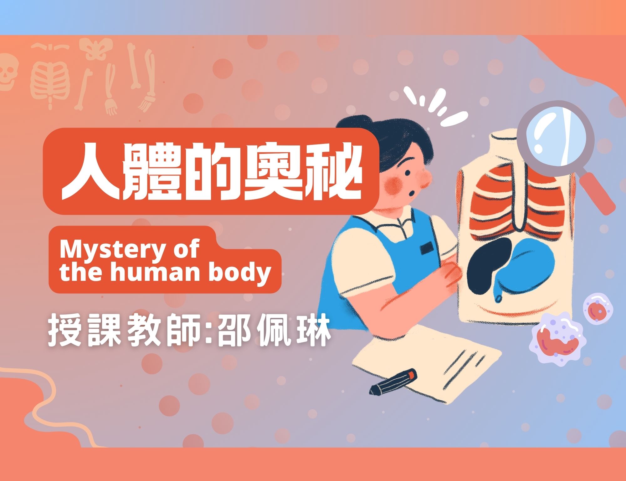 人體的奧秘_2024_課程封面 人體的奧秘_2024_課程封面